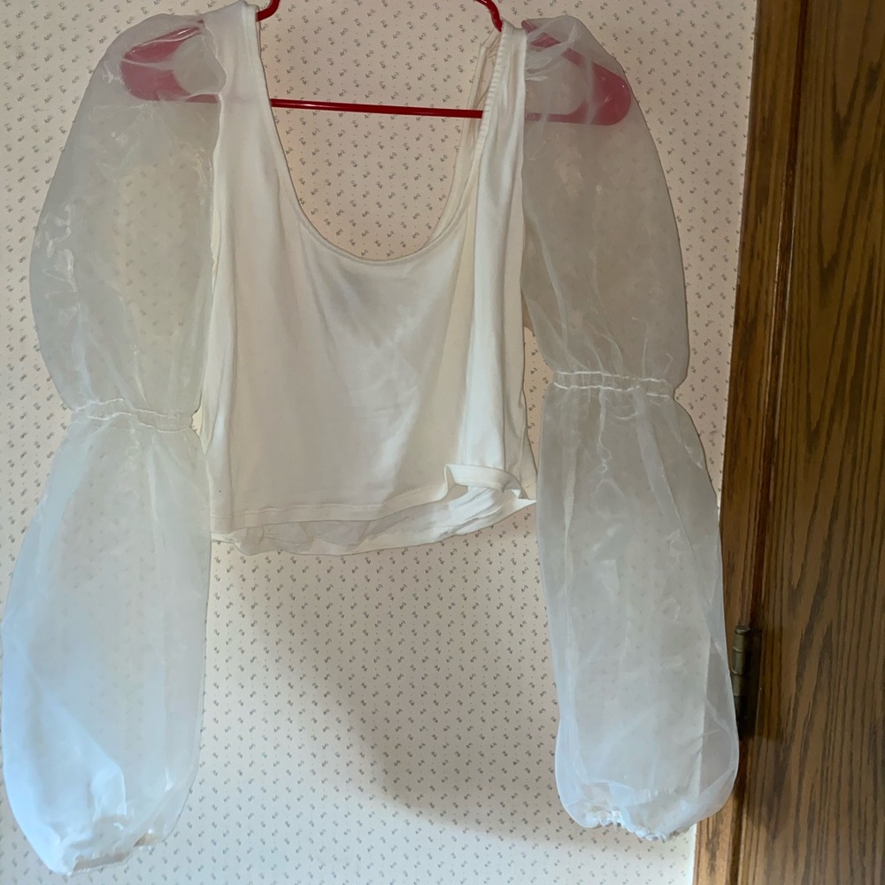 Puff Organza Sleeve Top.